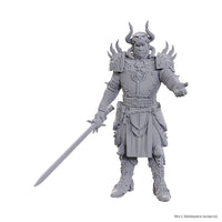 D&D Nolzur's Marvelous Unpainted Minis: Special Edition Baldur's Gate 3- Sarevok Anchev & Raphael