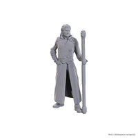 D&D Nolzur's Marvelous Unpainted Minis: Special Edition Baldur's Gate 3- Gale & Astarion
