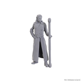 D&D Nolzur's Marvelous Unpainted Minis: Special Edition Baldur's Gate 3- Gale & Astarion