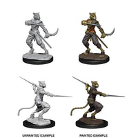 D&D Nolzur's Marvelous Unpainted Minis: W7 Male Tabaxi Rogue