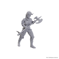 D&D Nolzur's Marvelous Unpainted Minis: Special Edition Baldur's Gate 3- Wyll & Karlach
