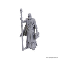 D&D Nolzur's Marvelous Unpainted Minis: Special Edition Baldur's Gate 3- Volo & Withers
