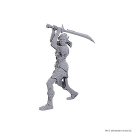 D&D Nolzur's Marvelous Unpainted Minis: Special Edition Baldur's Gate 3- Lae'zel & Shadowheart