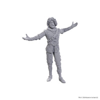 D&D Nolzur's Marvelous Unpainted Minis: Special Edition Baldur's Gate 3- Volo & Withers