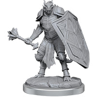 D&D Nolzur's Marvelous Unpainted Minis: W18 Dragonborn Clerics
