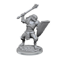 D&D Nolzur's Marvelous Unpainted Minis: W18 Dragonborn Clerics
