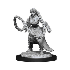 D&D Nolzur's Marvelous Unpainted Minis: W14 Human Monk  Female