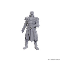 D&D Nolzur's Marvelous Unpainted Minis: Special Edition Baldur's Gate 3- Jaheira & Halsin