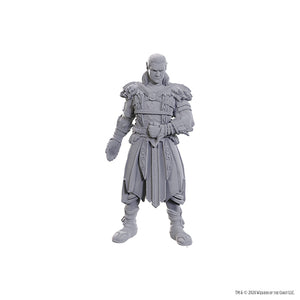 D&D Nolzur's Marvelous Unpainted Minis: Special Edition Baldur's Gate 3- Jaheira & Halsin