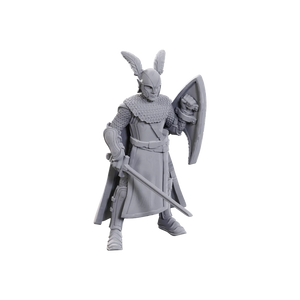 D&D Nolzur's Marvelous Unpainted Minis: Limited Edition 50th Anniversary - Elves