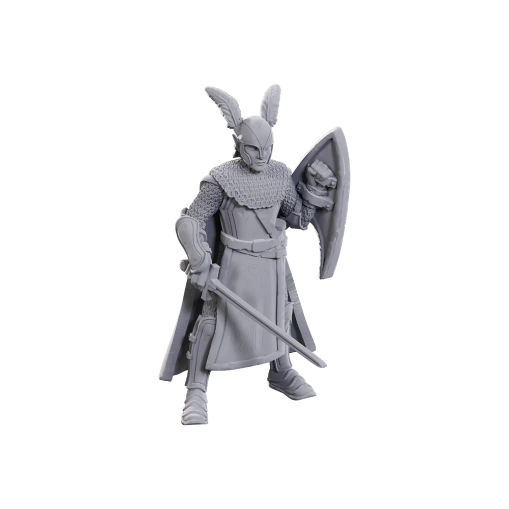 D&D Nolzur's Marvelous Unpainted Minis: Limited Edition 50th Anniversary - Elves