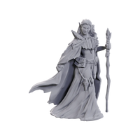 D&D Nolzur's Marvelous Unpainted Minis: Limited Edition 50th Anniversary - Elves
