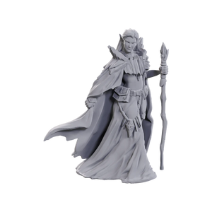 D&D Nolzur's Marvelous Unpainted Minis: Limited Edition 50th Anniversary - Elves