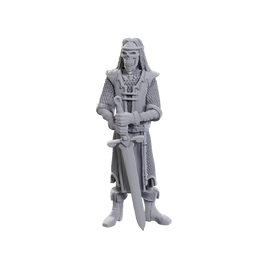 D&D Nolzur's Marvelous Unpainted Minis: Limited Edition 50th Anniversary - Skeleton Knights