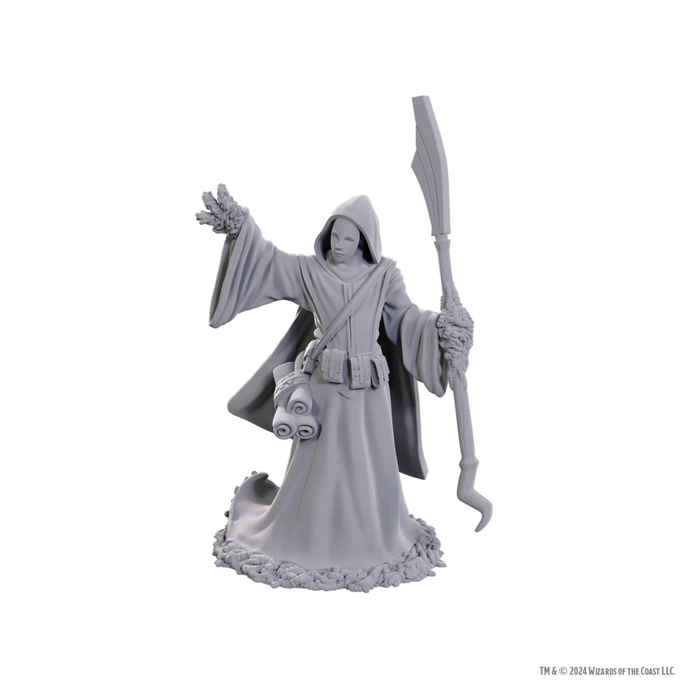 D&D Nolzur's Marvelous Unpainted Minis: W25 Star Spawn Larva Mage