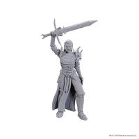 D&D Nolzur's Marvelous Unpainted Minis: W25 Blackguard