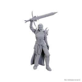 D&D Nolzur's Marvelous Unpainted Minis: W25 Blackguard