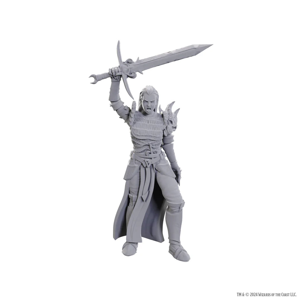 D&D Nolzur's Marvelous Unpainted Minis: W25 Blackguard