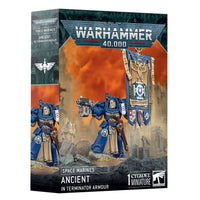 Space Marines: Ancient in Terminator Armor