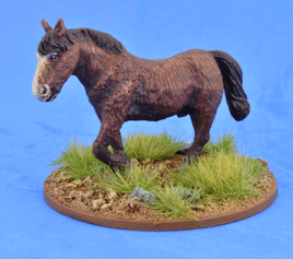 SAGA: Viking Age - Civilians - Shaggy Pony SSC19