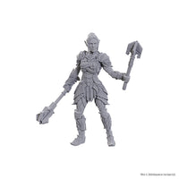 D&D Nolzur's Marvelous Unpainted Minis: Special Edition Baldur's Gate 3- Dame Aylin & Minthara