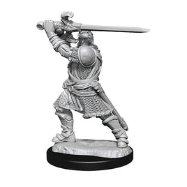 D&D Nolzur's Marvelous Unpainted Minis: W14 Human Paladin Male