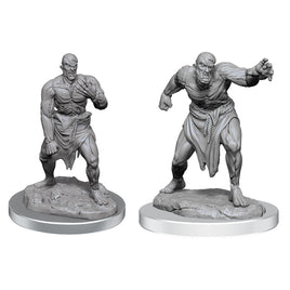 D&D Nolzur's Marvelous Unpainted Minis: Wave 17- Flesh Golems