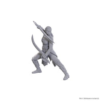D&D Nolzur's Marvelous Unpainted Minis: Special Edition Baldur's Gate 3- Jaheira & Halsin
