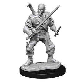 D&D Nolzur's Marvelous Unpainted Minis: W15 Human Bard Male
