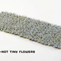 Gamers Grass: Forget-Me-Not Tiny Flowers