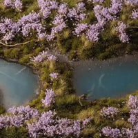 Gamers Grass: Lavender Flowers