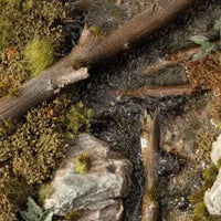 Gamers Grass: Swamp Shrubs
