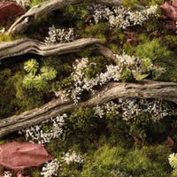 Gamers Grass: White Rose Flowers