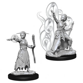 D&D Nolzur's Marvelous Unpainted Minis: W10 Female Human Warlock