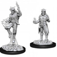 D&D Nolzur's Marvelous Unpainted Minis: W12 Male Tiefling Sorcerer