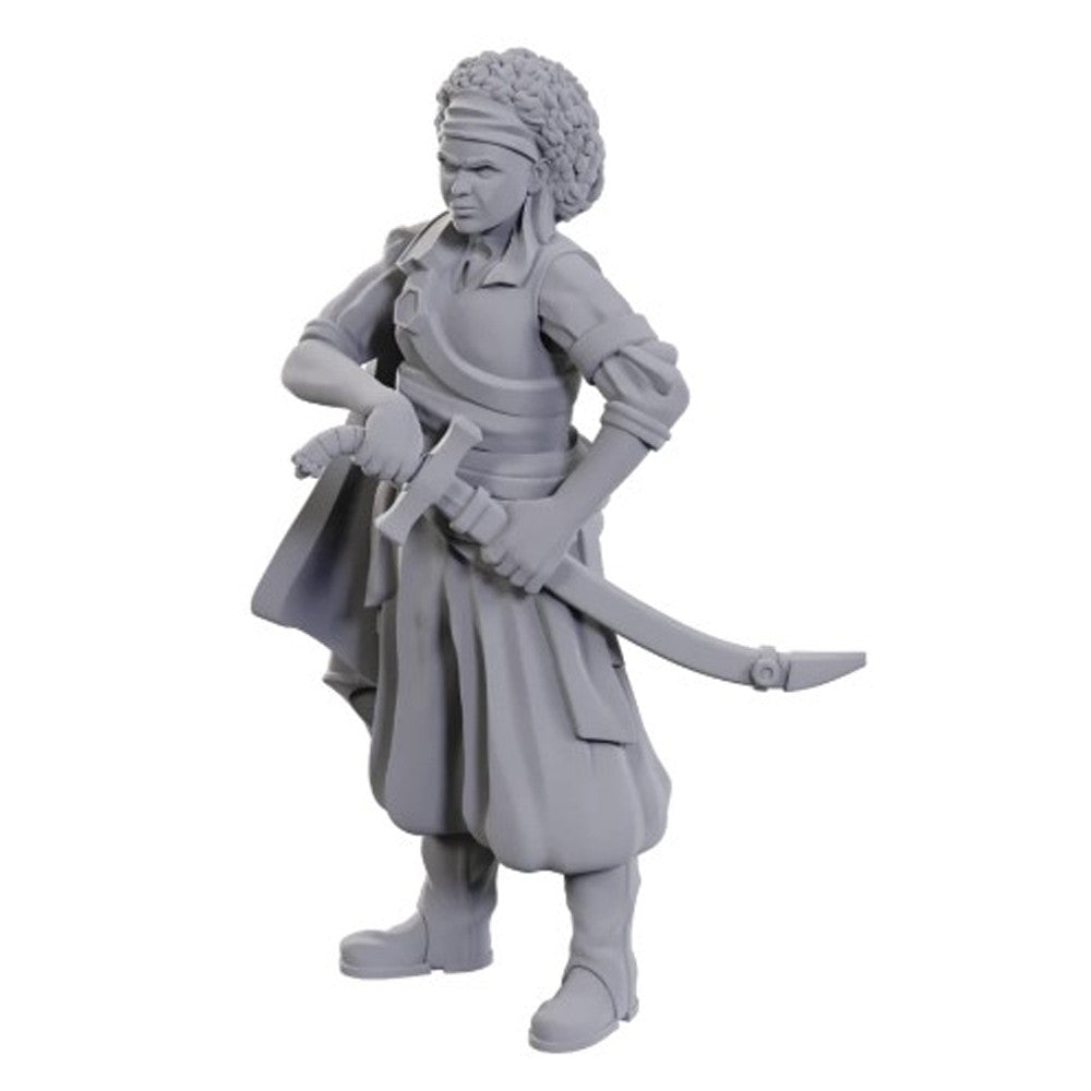 D&D Nolzur's Marvelous Unpainted Minis: W23 Ansalon Human Rogue