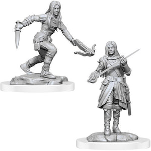 D&D Nolzur's Marvelous Unpainted Minis: W17 Half-Elf Rogue Female