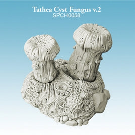 Spellcrow: Tathea Cyst Fungus V.2