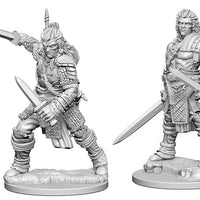 Pathfinder Deep Cuts Unpainted Miniatures: W1 Human Male Fighter