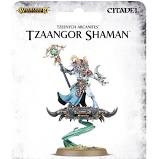 Disciples of Tzeentch: Tzaangor Shaman