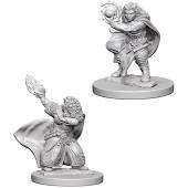 D&D Nolzur's Marvelous Unpainted Minis: W4 Dwarf Female Wizard