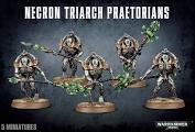 Necrons: Triarch Praetorians