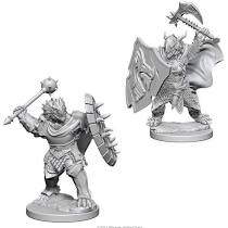 D&D Nolzur's Marvelous Unpainted Minis: W4 Dragonborn Male Paladin