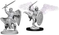 D&D Nolzur's Marvelous Unpainted Minis: W5 Aasimar Male Paladin