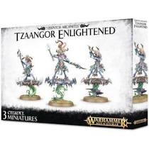 Disciples of Tzeentch: Tzaangor Enlightened