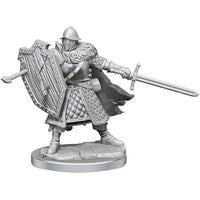 Dungeons & Dragons Frameworks: W1 Human Fighter Male