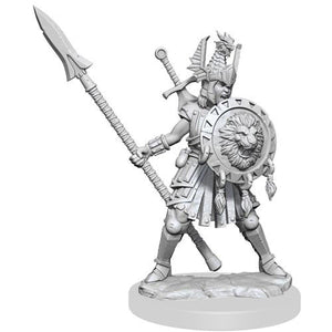 Dungeons & Dragons Frameworks: W1 Human Fighter Female