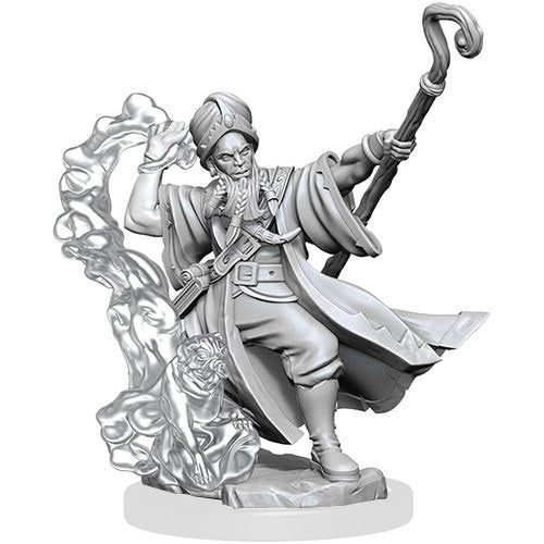 Dungeons & Dragons Frameworks: W1 Human Wizard Male