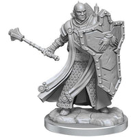 Dungeons & Dragons Frameworks: W1 Human Cleric Male