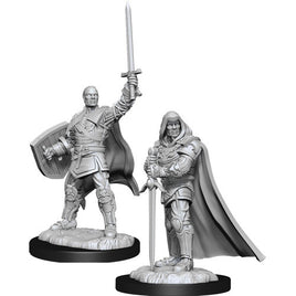 D&D Nolzur's Marvelous Unpainted Minis: W3 Human Male Paladin